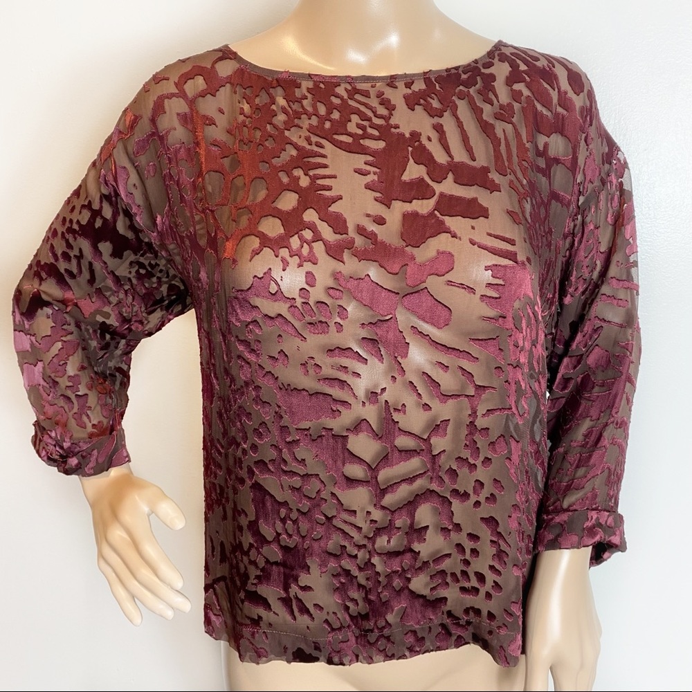 Club Monaco Sheer Artist Blouse